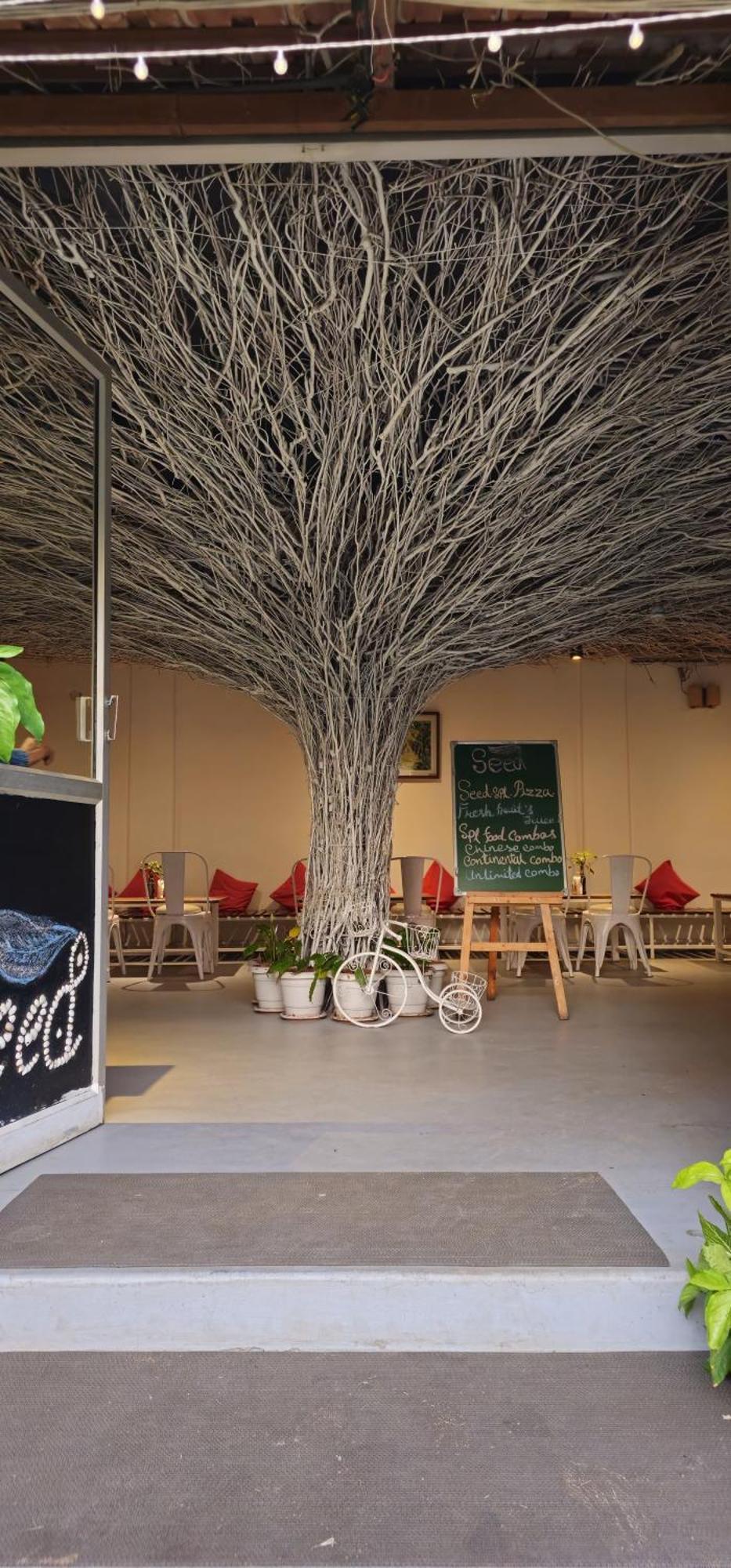 Seed Resort Shrīrangapattana エクステリア 写真
